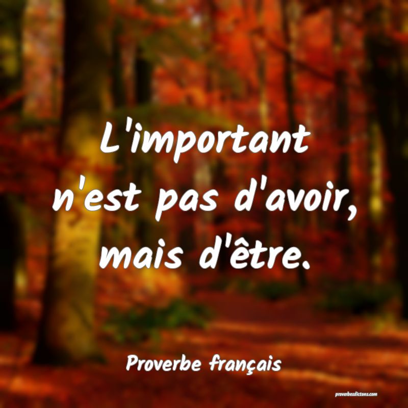 L'important n'est pas d'avoir, mais d'être.