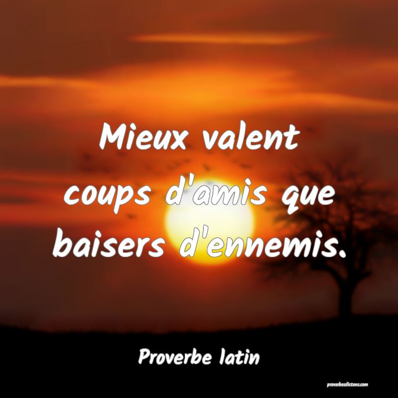 Mieux valent coups d'amis que baisers d'ennemis.