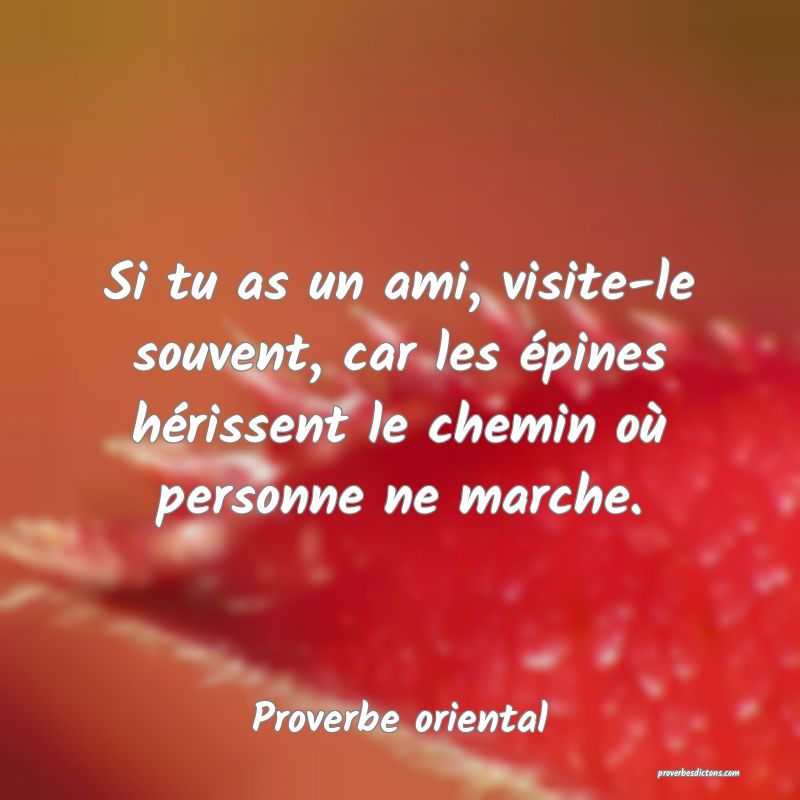 Si tu as un ami, visite-le souvent, car les épines hérissent le chemin où personne ne marche.