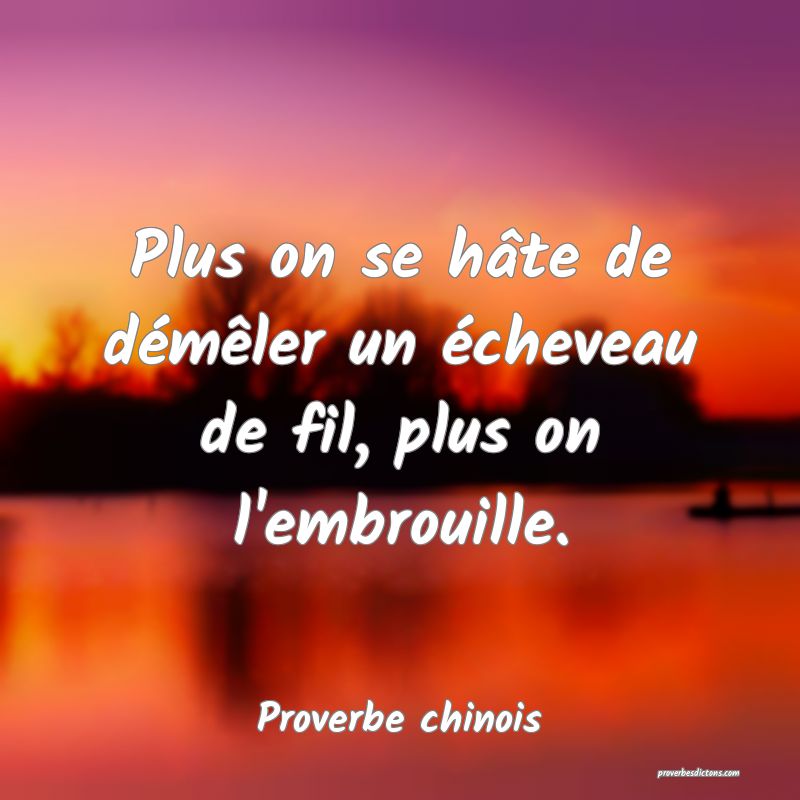 Plus on se hâte de démêler un écheveau de fil, plus on l'embrouille.