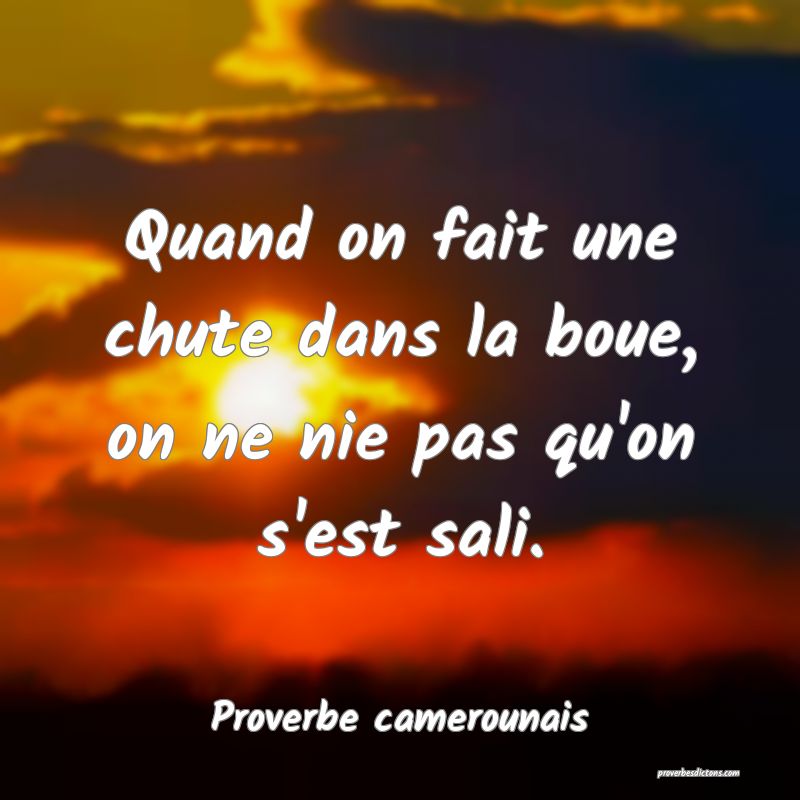 Quand on fait une chute dans la boue, on ne nie pas qu'on s'est sali.