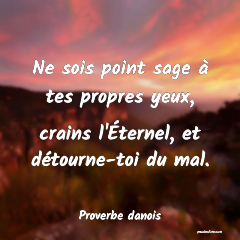 Ne sois point sage à tes propres yeux, crains l'Éternel, et détourne-toi du mal.