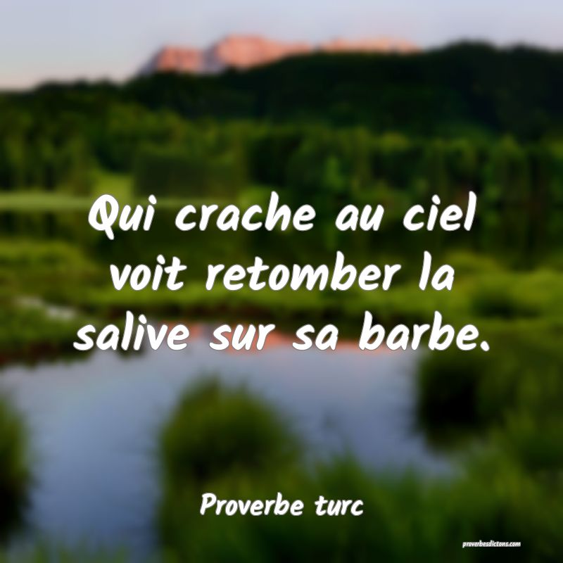 Qui crache au ciel voit retomber la salive sur sa barbe.