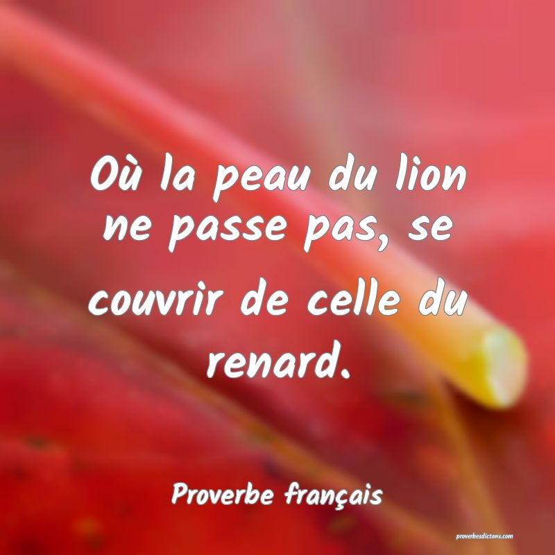 Où la peau du lion ne passe pas, se couvrir de celle du renard.