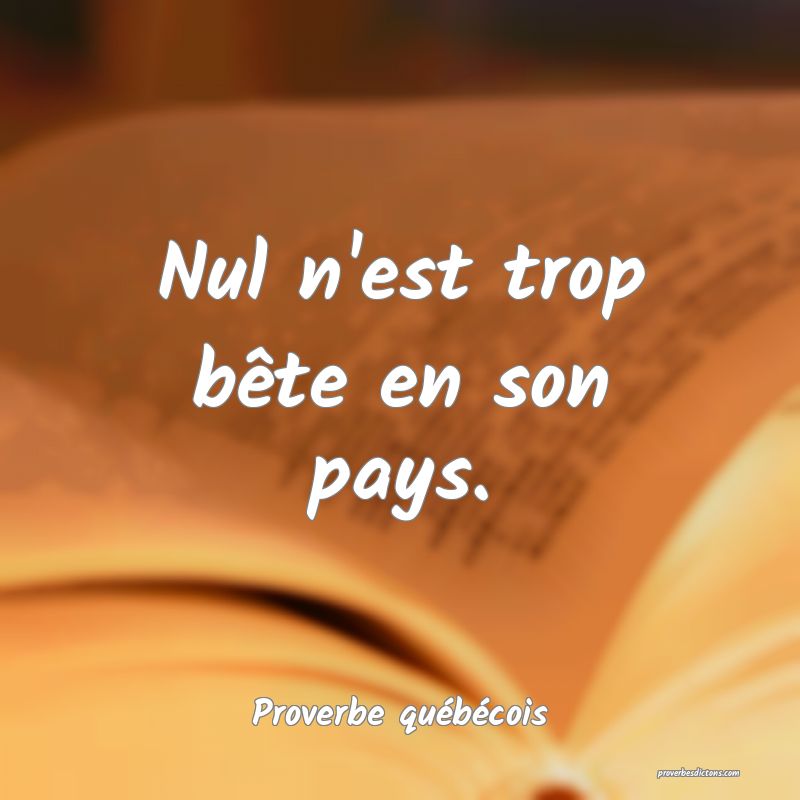  Nul n'est trop bête en son pays.