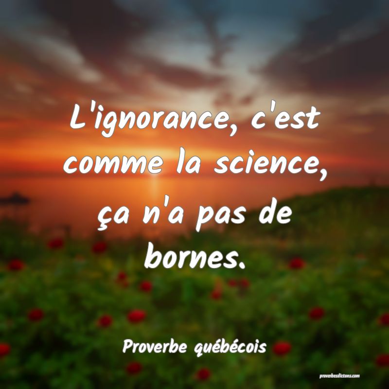  L'ignorance, c'est comme la science, ça n'a pas de bornes.