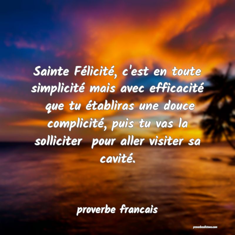  Sainte Félicité, c'est en toute simplicité mais avec efficacité  que tu établiras une douce complicité, puis tu vas la solliciter  pour aller visiter sa cavité.