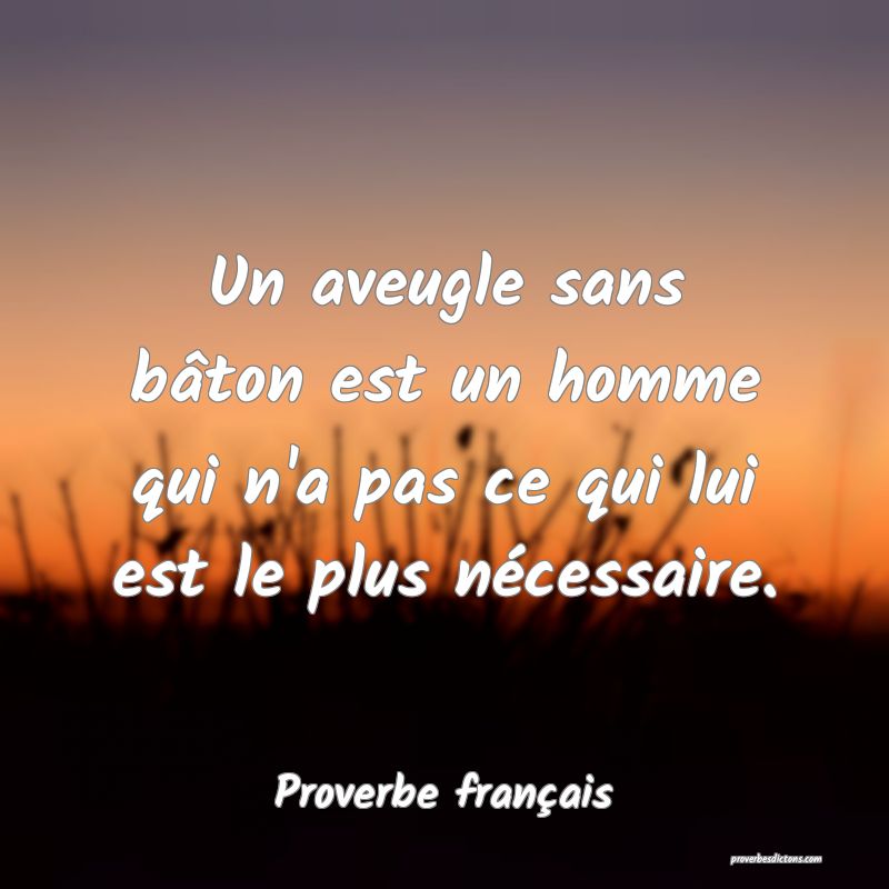Un aveugle sans bâton est un homme qui n'a pas ce qui lui est le plus nécessaire.