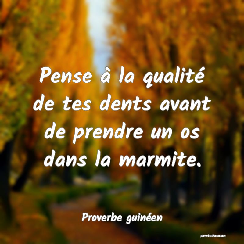 Pense à la qualité de tes dents avant de prendre un os dans la marmite.