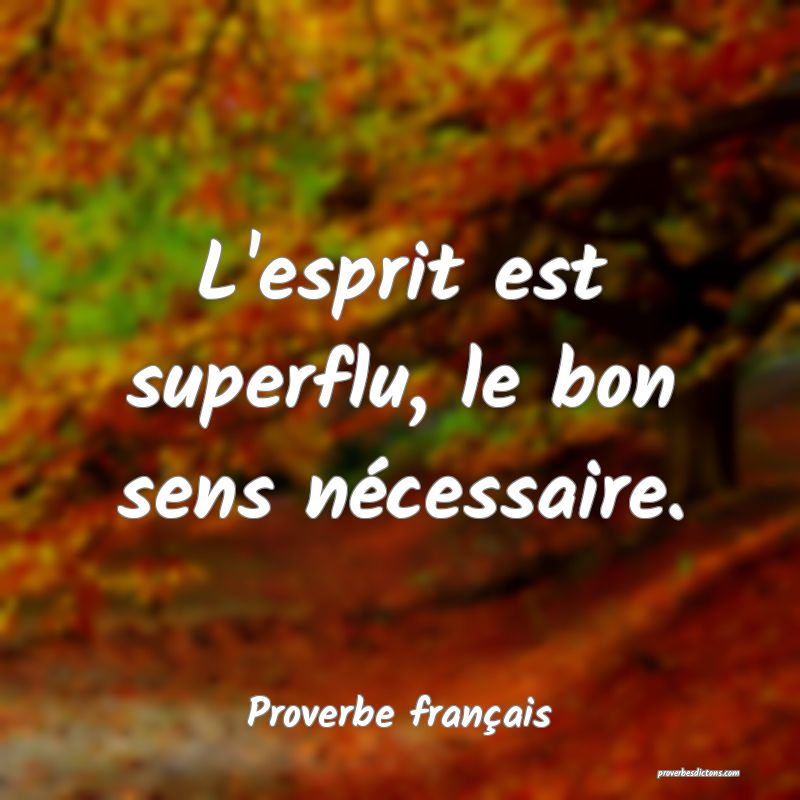 L'esprit est superflu, le bon sens nécessaire.