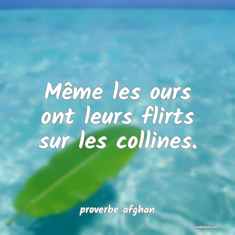 Même les ours ont leurs flirts sur les collines.