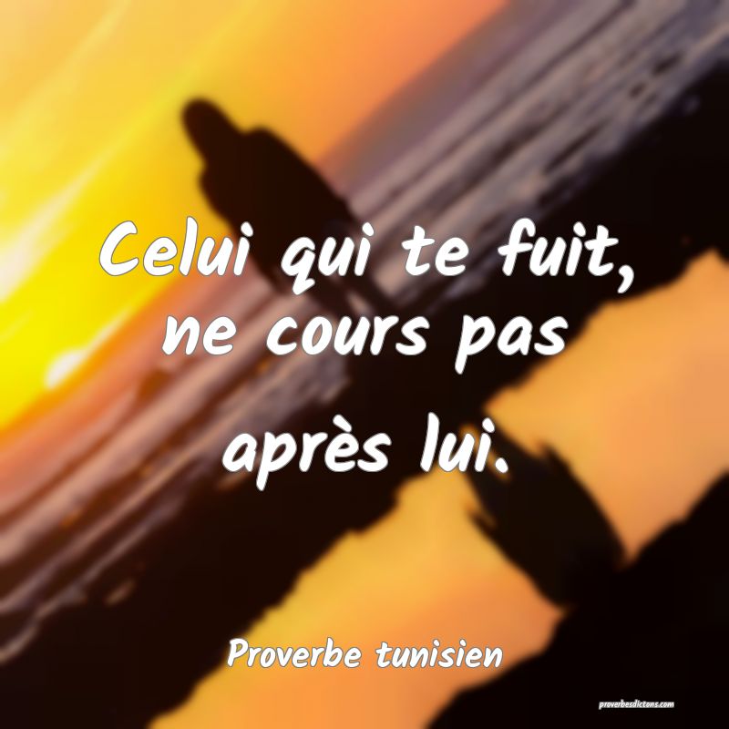 Celui qui te fuit, ne cours pas après lui.