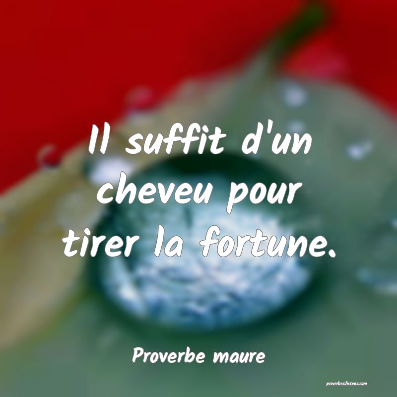 Il suffit d'un cheveu pour tirer la fortune.