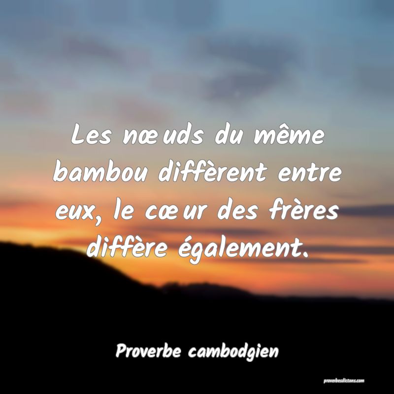 Les nœuds du même bambou diffèrent entre eux, le cœur des frères diffère également.