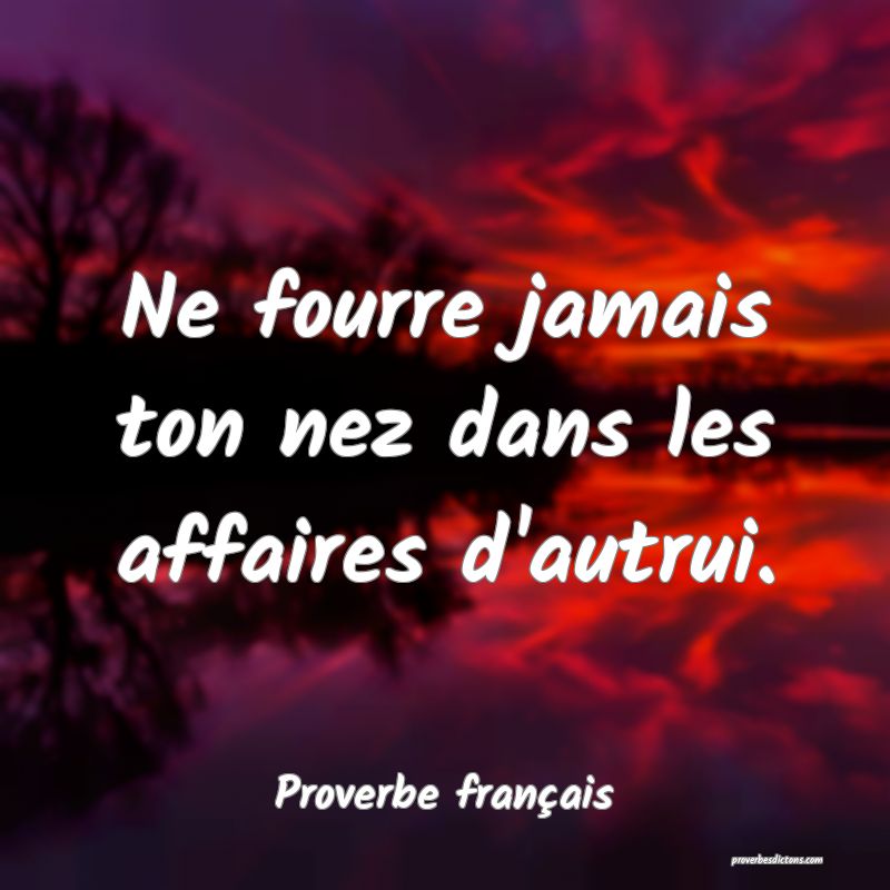 Ne fourre jamais ton nez dans les affaires d'autrui.