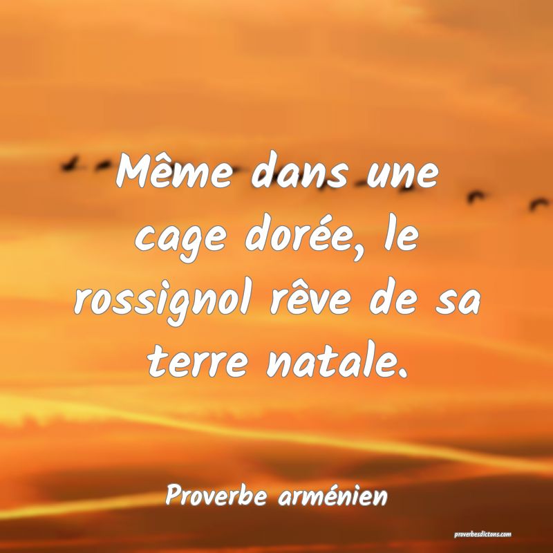 Même dans une cage dorée, le rossignol rêve de sa terre natale.