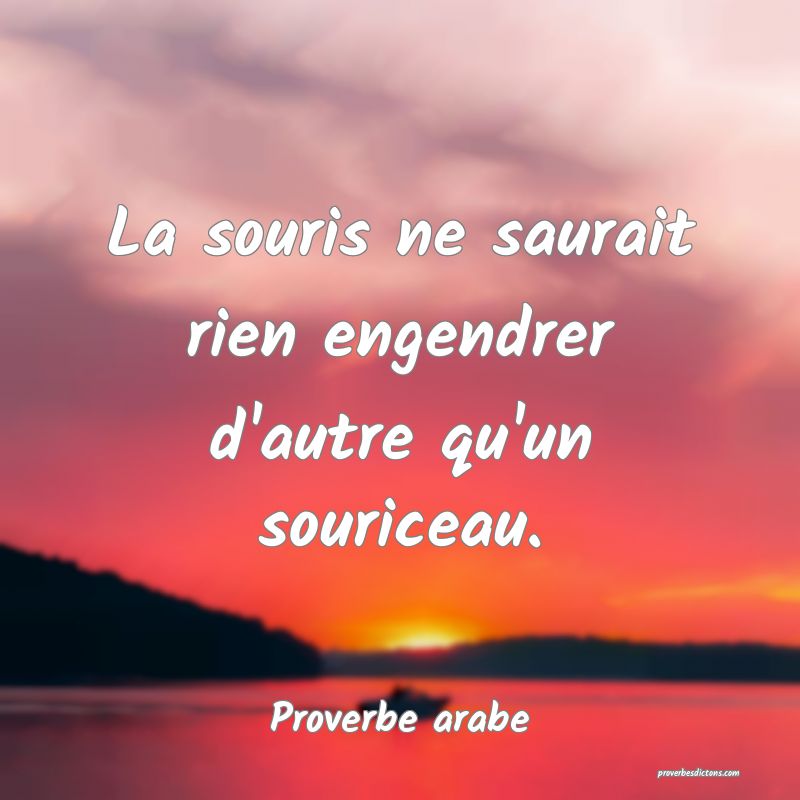 La souris ne saurait rien engendrer d'autre qu'un souriceau.