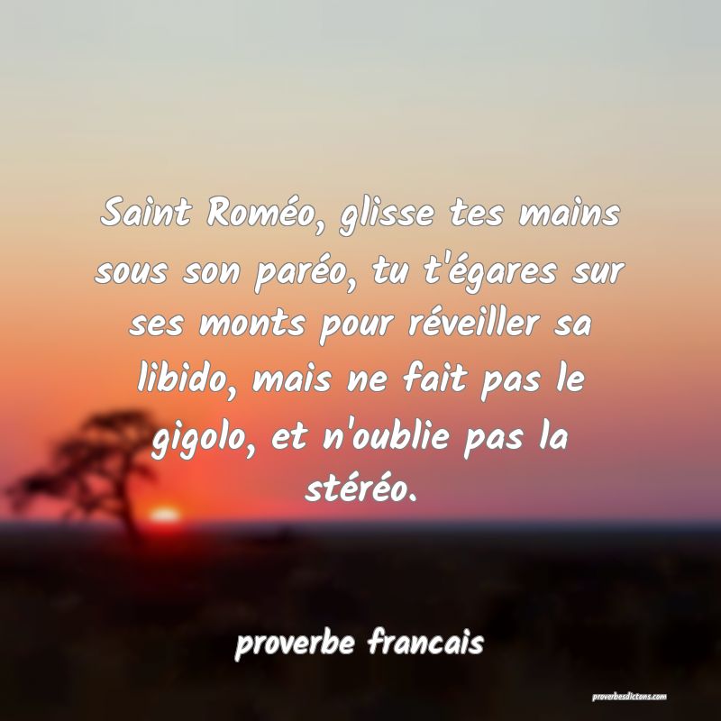 Saint Roméo, glisse tes mains sous son paréo, tu t'égares sur ses monts pour réveiller sa libido, mais ne fait pas le gigolo, et n'oublie pas la stéréo.
