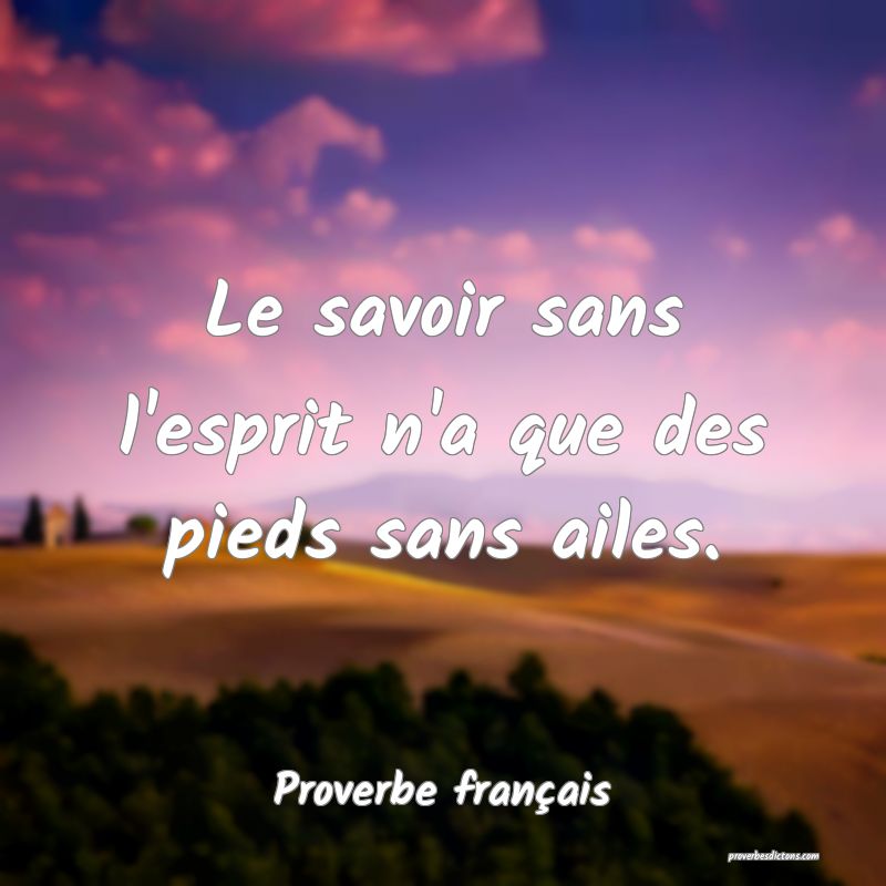 Le savoir sans l'esprit n'a que des pieds sans ailes.