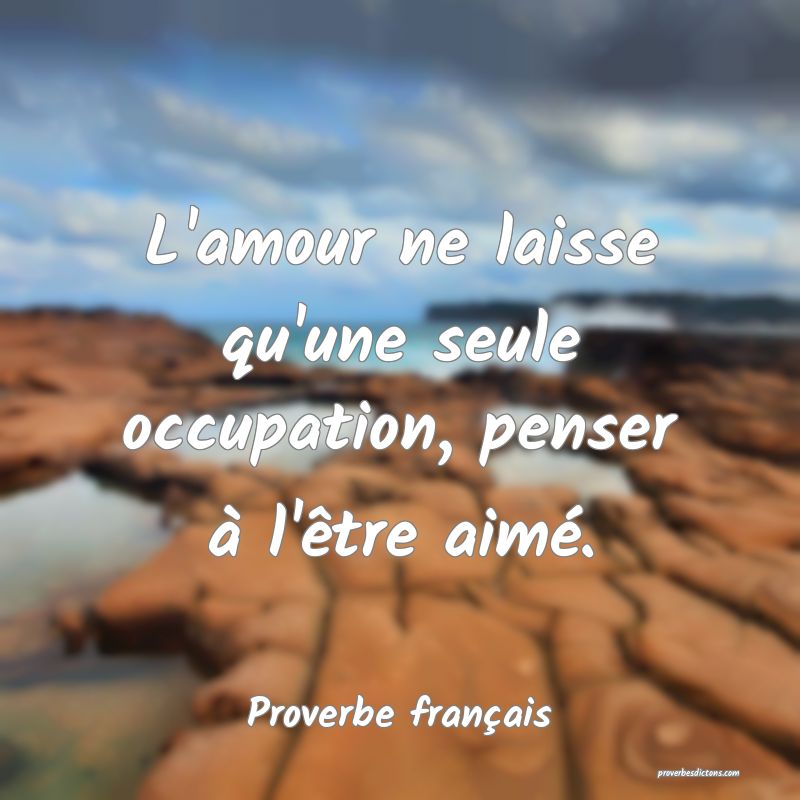 L'amour ne laisse qu'une seule occupation, penser à l'être aimé.