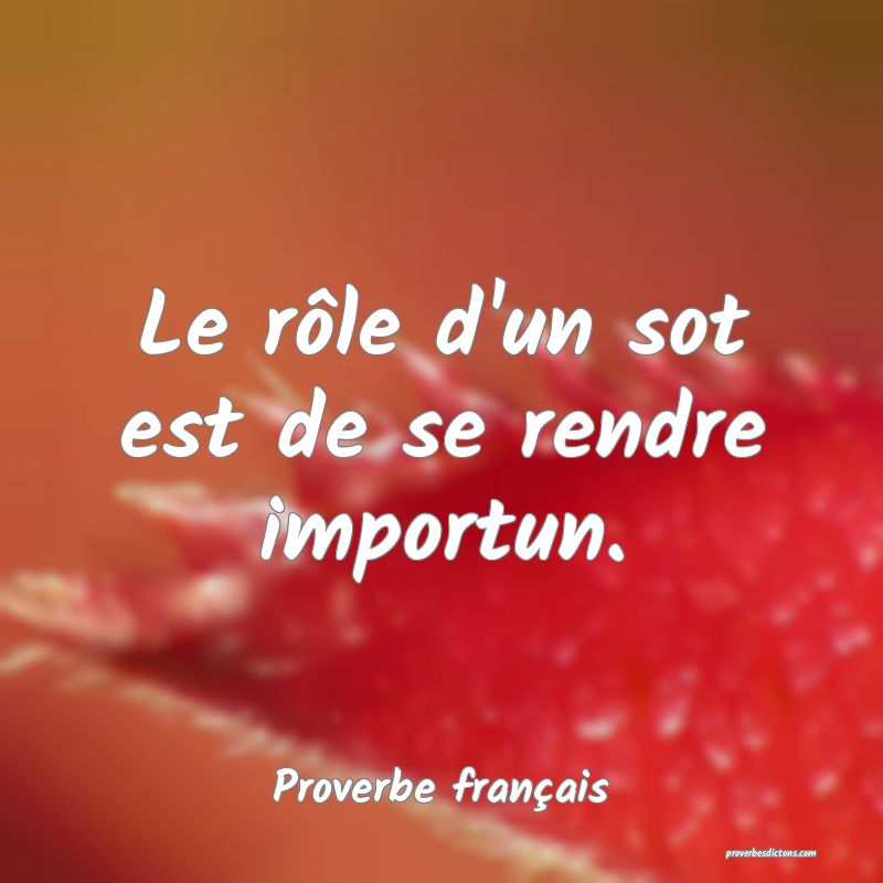 Le rôle d'un sot est de se rendre importun.
