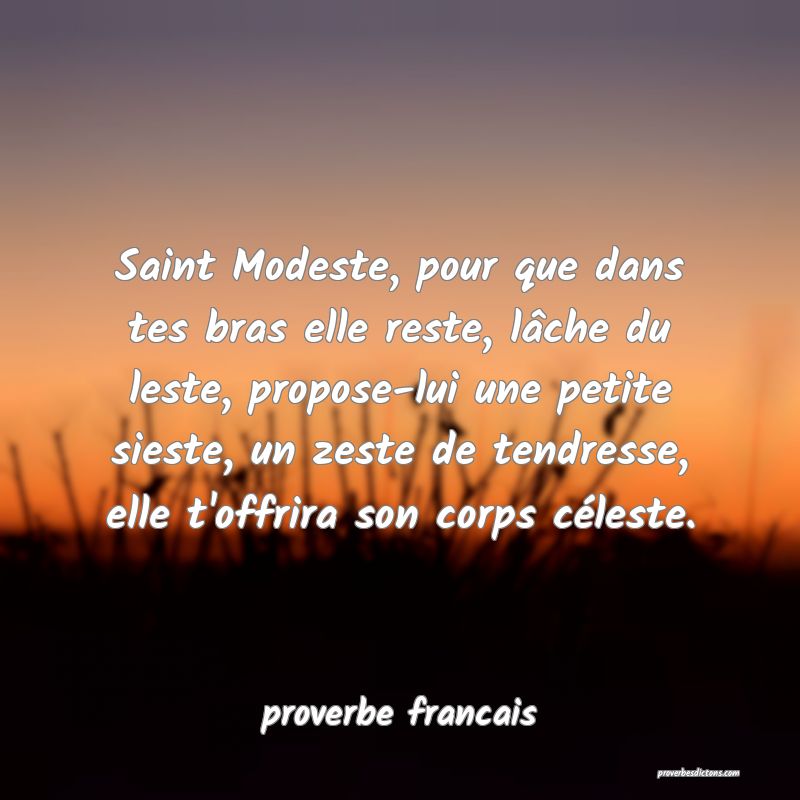Saint Modeste, pour que dans tes bras elle reste, lâche du leste, propose-lui une petite sieste, un zeste de tendresse, elle t'offrira son corps céleste.