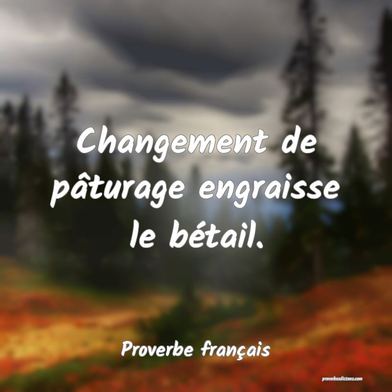 Changement de pâturage engraisse le bétail.