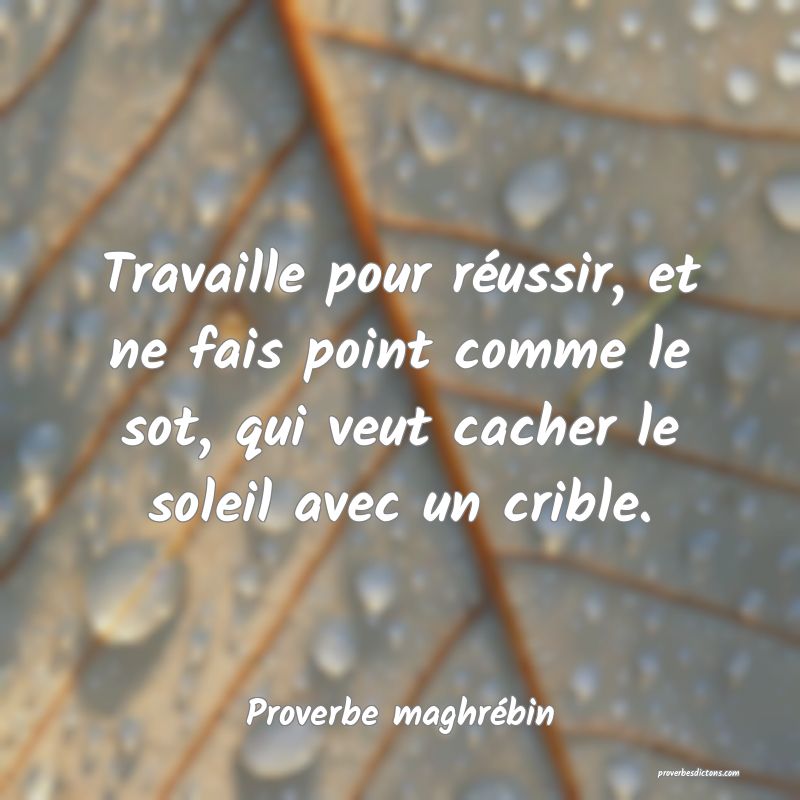 Travaille pour réussir, et ne fais point comme le sot, qui veut cacher le soleil avec un crible.