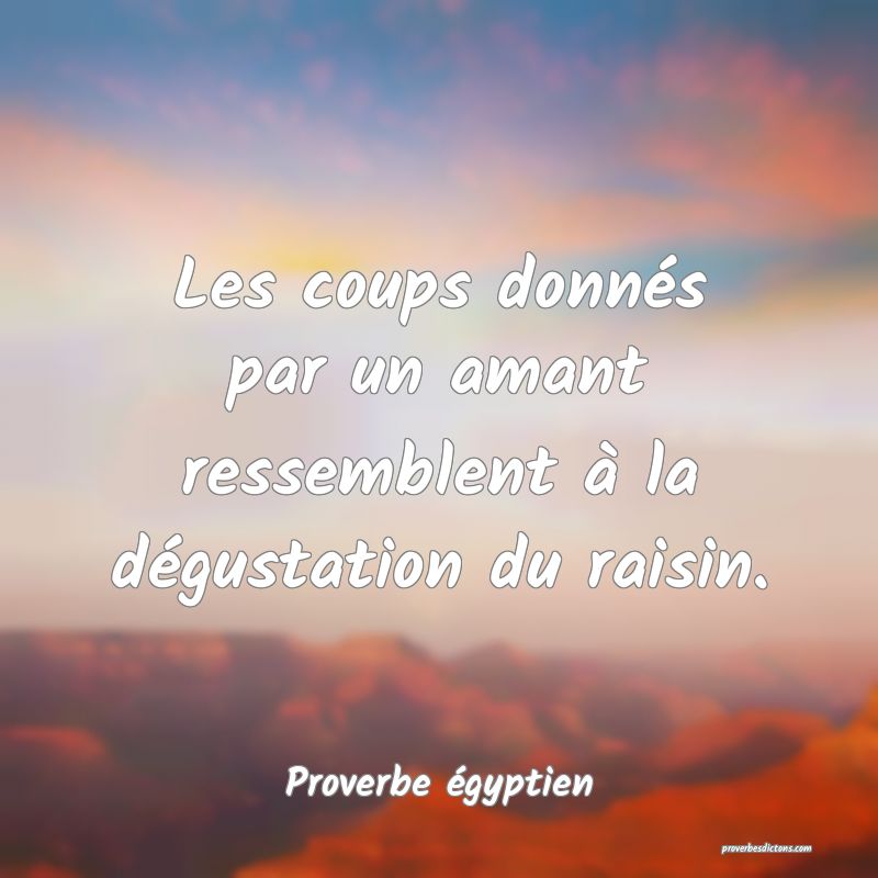 Les coups donnés par un amant ressemblent à la dégustation du raisin.