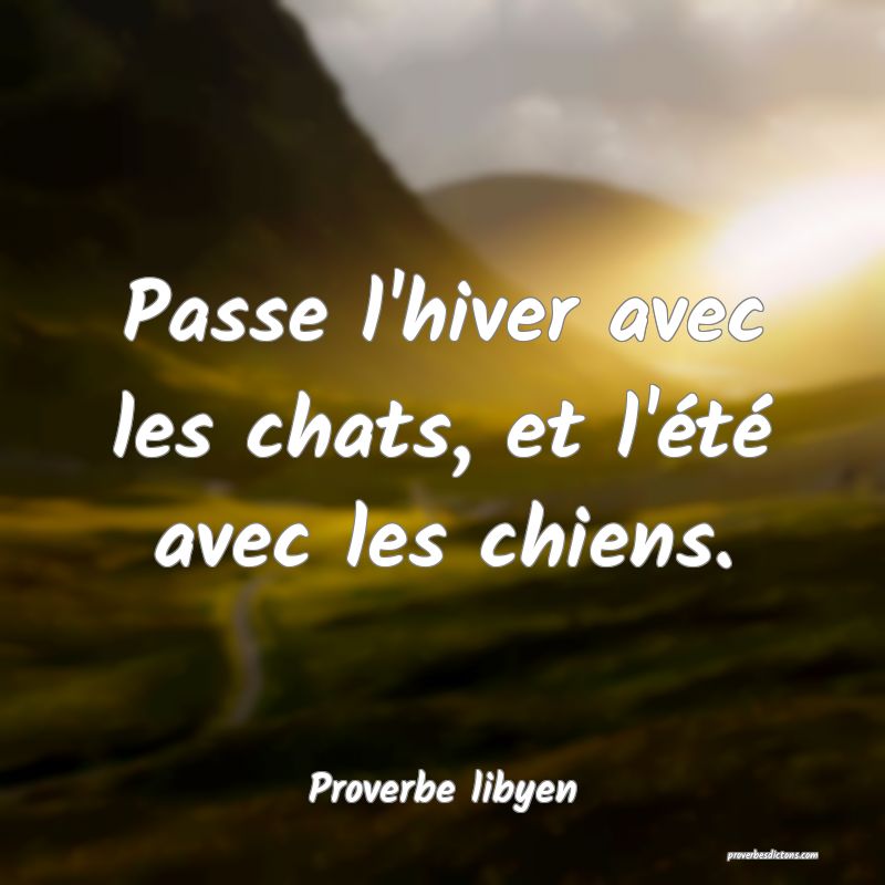 Passe l'hiver avec les chats, et l'été avec les chiens.