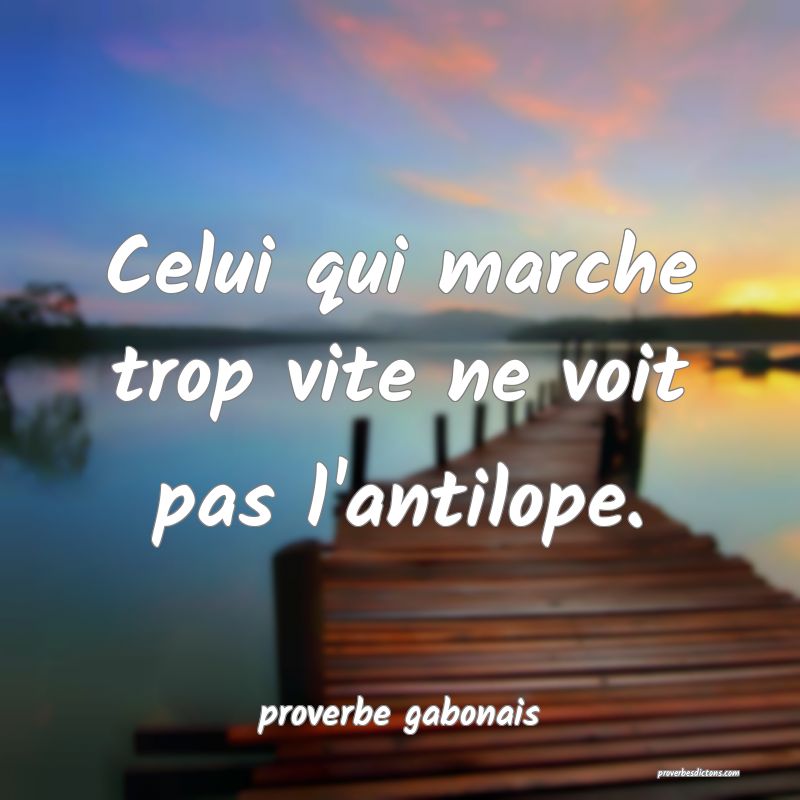  Celui qui marche trop vite ne voit pas l'antilope.