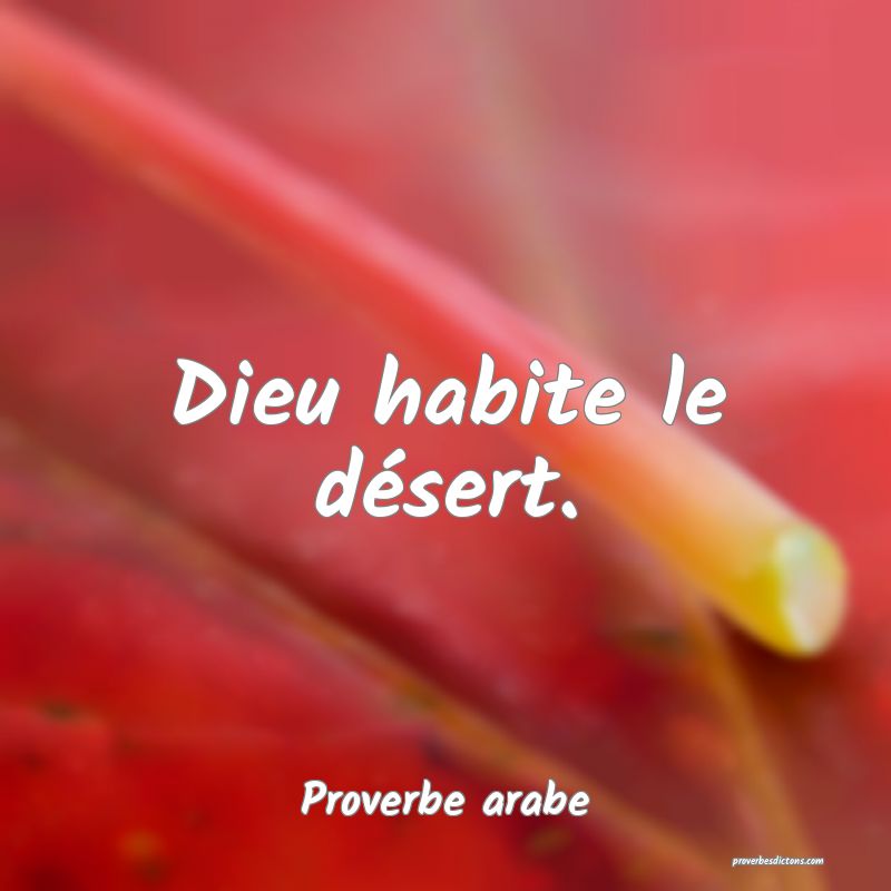 Dieu habite le désert.