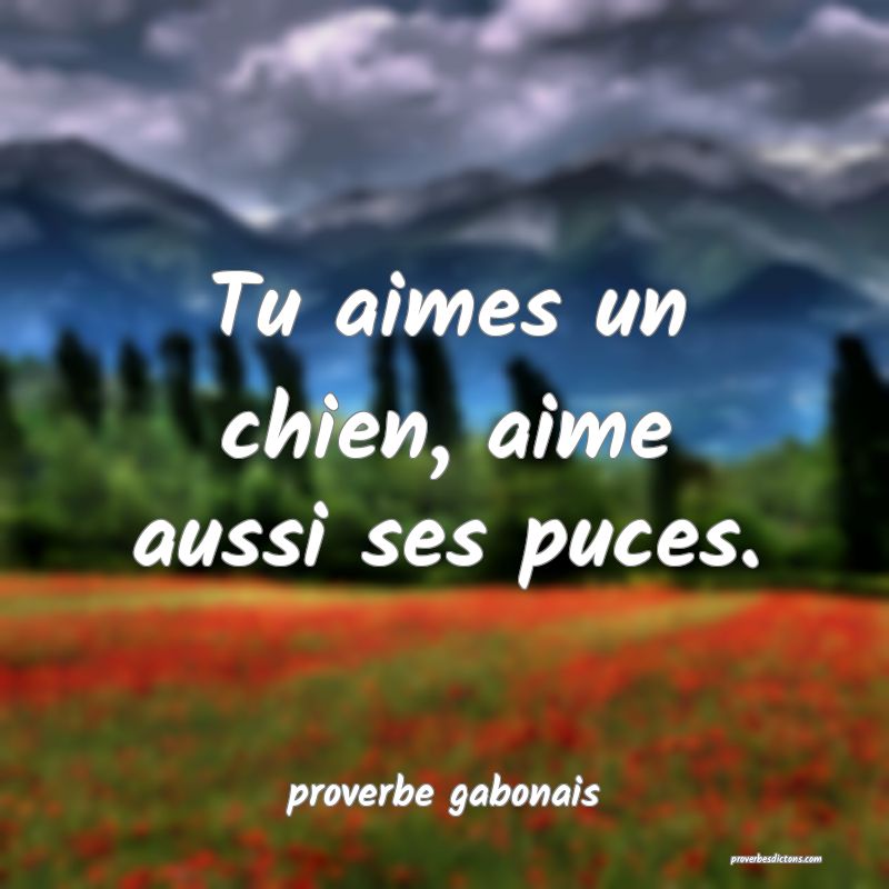  Tu aimes un chien, aime aussi ses puces.