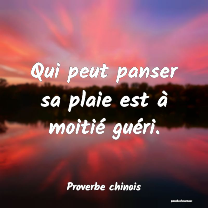 Qui peut panser sa plaie est à moitié guéri.
