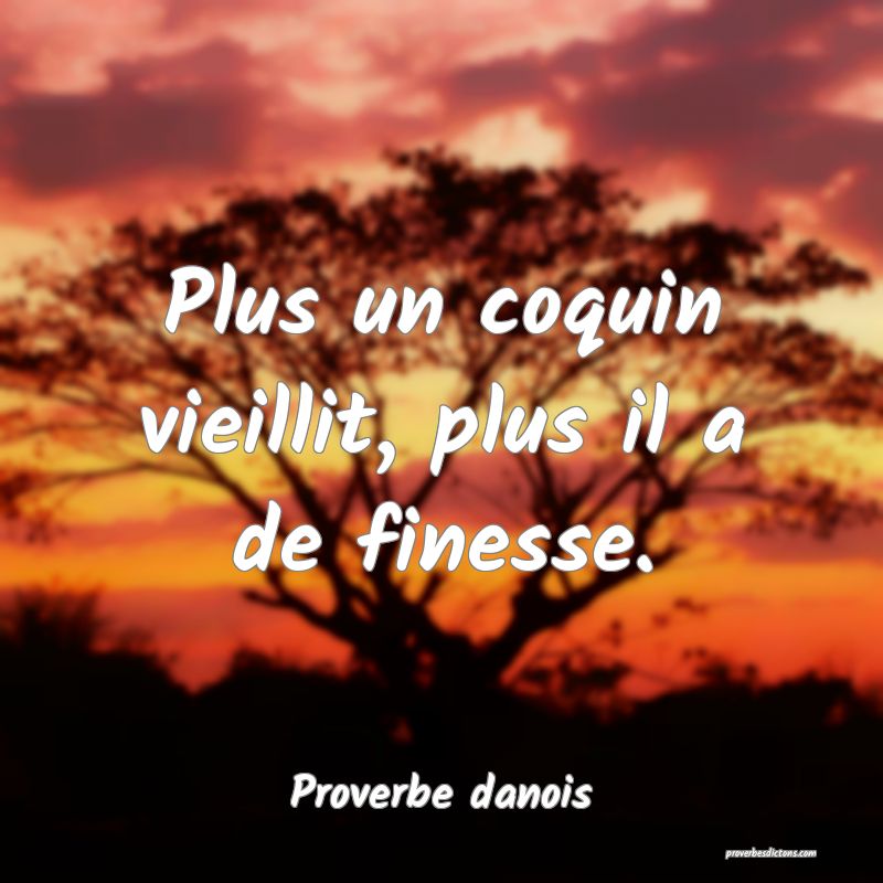Plus un coquin vieillit, plus il a de finesse.