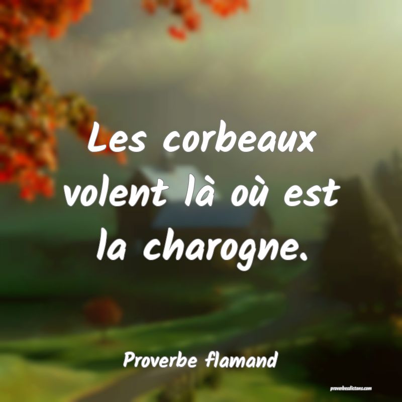 Les corbeaux volent là où est la charogne.
