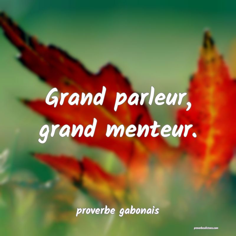  Grand parleur, grand menteur.