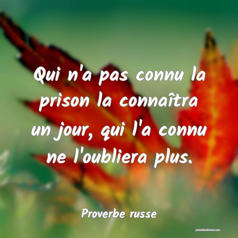 Qui n'a pas connu la prison la connaîtra un jour, qui l'a connu ne l'oubliera plus.