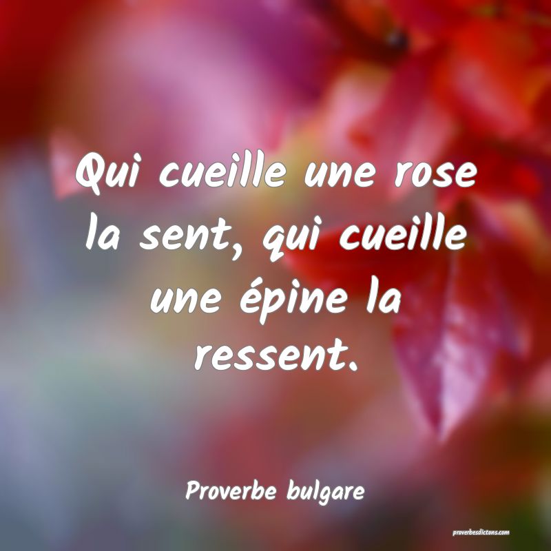 Qui cueille une rose la sent, qui cueille une épine la ressent.