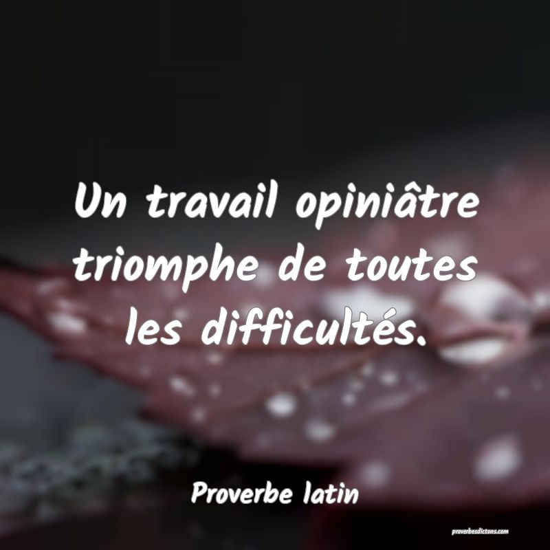 Un travail opiniâtre triomphe de toutes les difficultés.