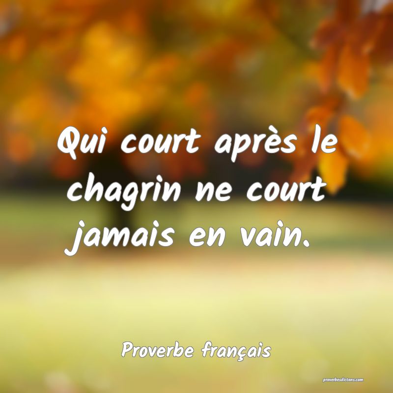 Qui court après le chagrin ne court jamais en vain.