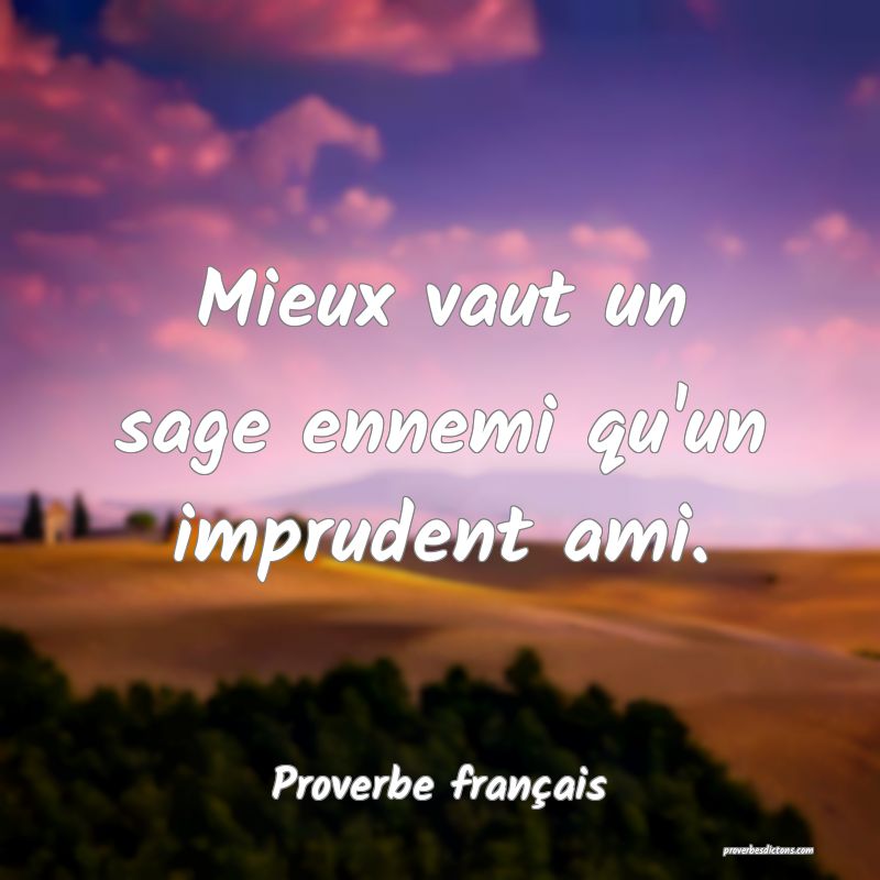 Mieux vaut un sage ennemi qu'un imprudent ami.