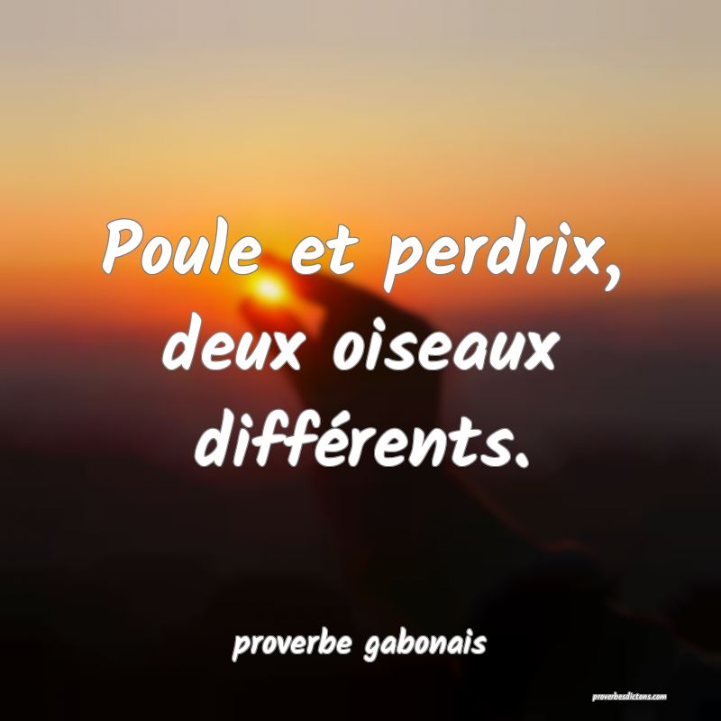  Poule et perdrix, deux oiseaux différents.