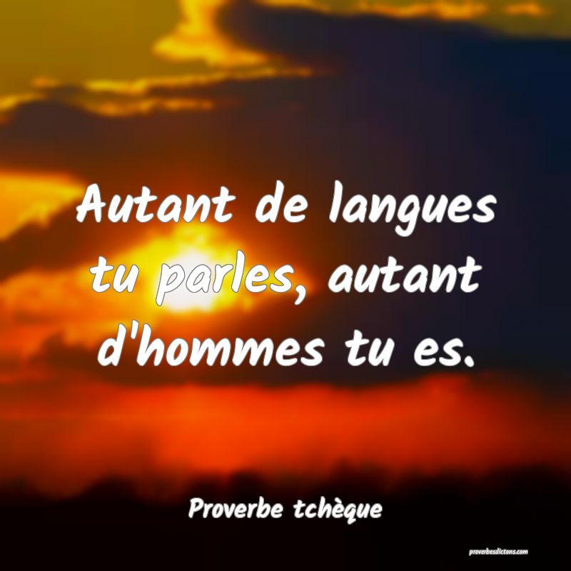 Autant de langues tu parles, autant d'hommes tu es.