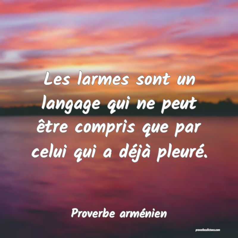 Les larmes sont un langage qui ne peut être compris que par celui qui a déjà pleuré.