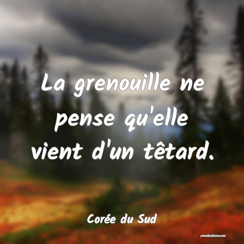  La grenouille ne pense qu'elle vient d'un têtard.