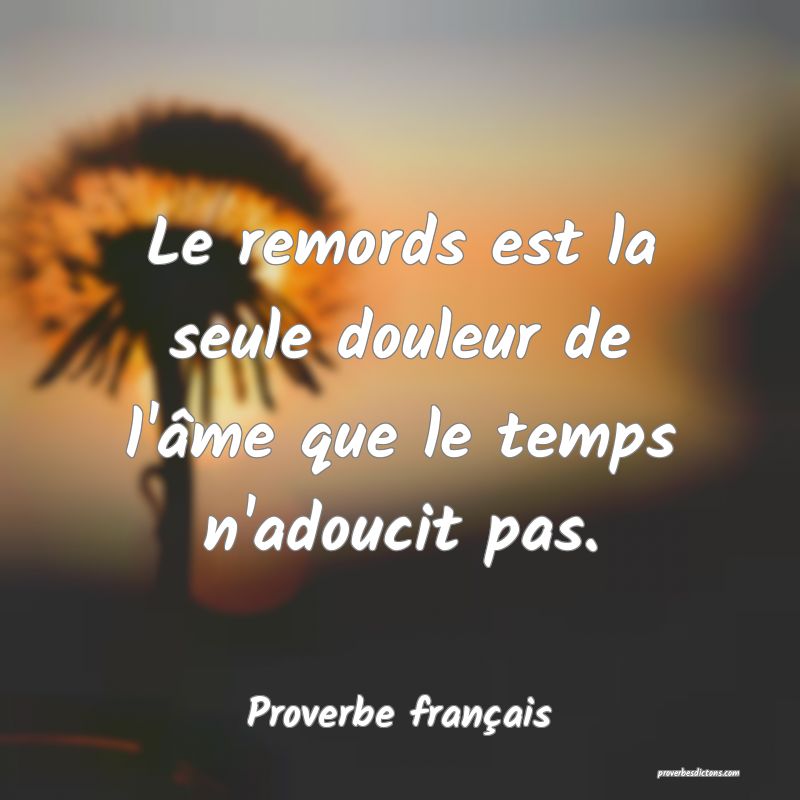 Le remords est la seule douleur de l'âme que le temps n'adoucit pas.