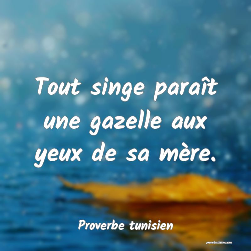 Tout singe paraît une gazelle aux yeux de sa mère.
