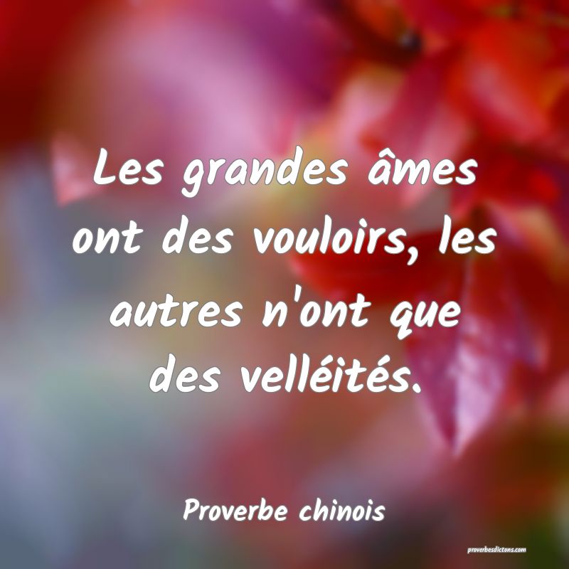 Les grandes âmes ont des vouloirs, les autres n'ont que des velléités.