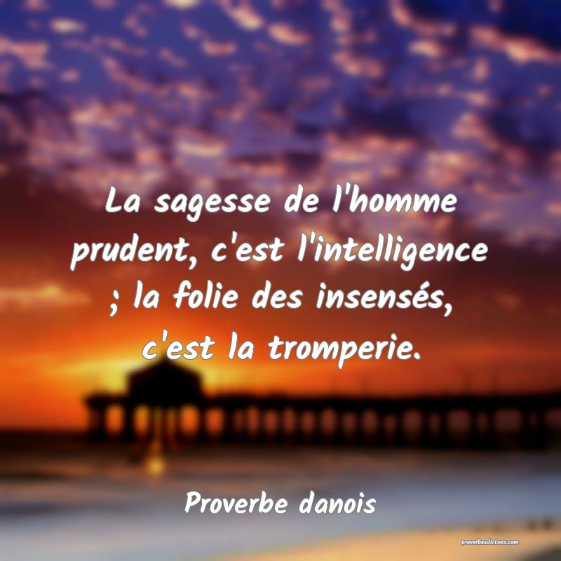 La sagesse de l'homme prudent, c'est l'intelligence ; la folie des insensés, c'est la tromperie.